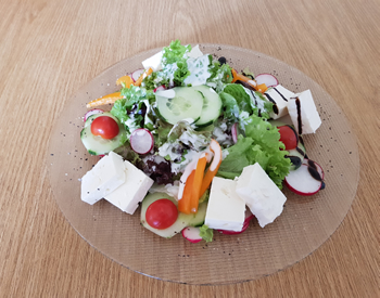 essen-fitness-salat-1